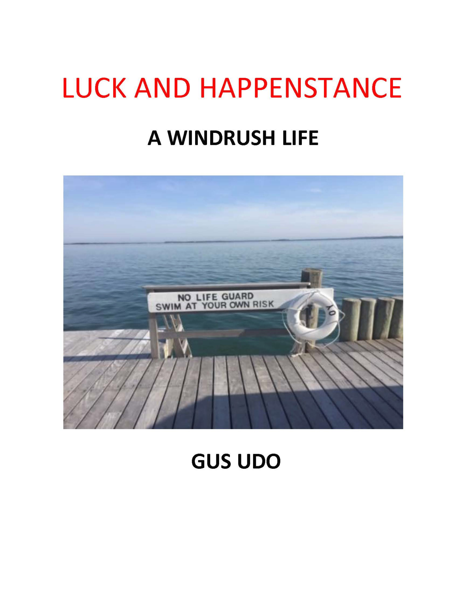 Luck and Happenstance book cover